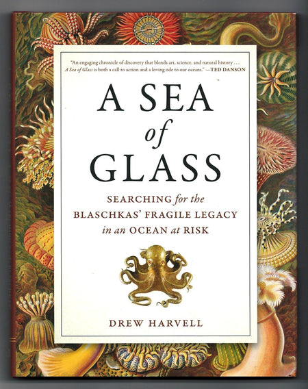 A Sea of Glass: Searching for the Blaschkas' Fragile Legacy in an Ocean at Risk by C. Drew Harvell