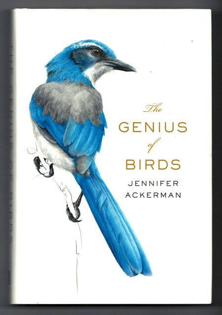 The Genius of Birds by Jennifer Ackerman