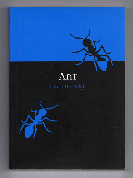 Ant by Charlotte Sleigh