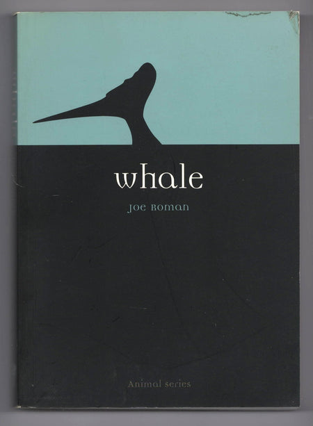 Whale by Joe Roman