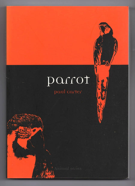 Parrot by Paul Carter