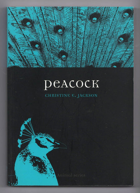 Peacock by Christine E. Jackson
