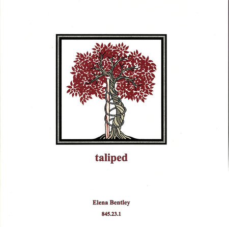 taliped by Elena Bentley